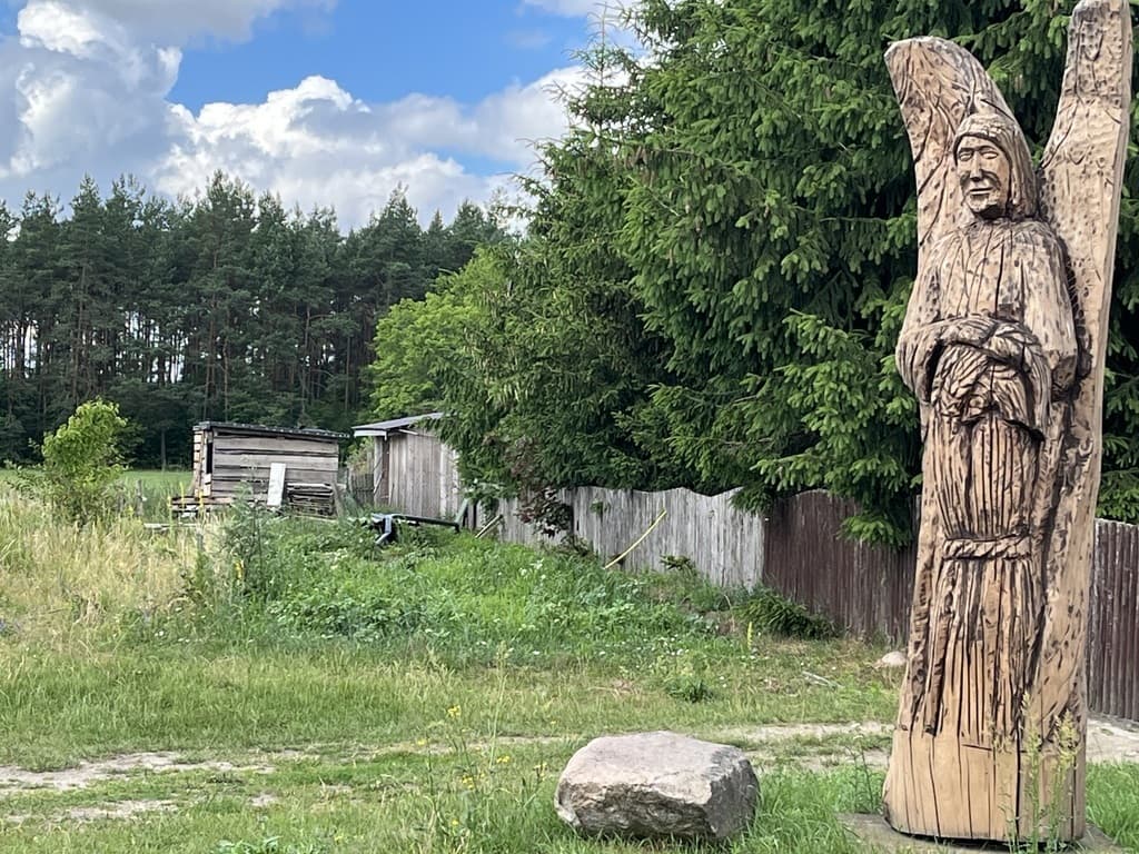 FARYNY - SIEDLISKO WE WSI ANIOŁÓW - DUŻA DZIAŁKA! — zdjęcie 1